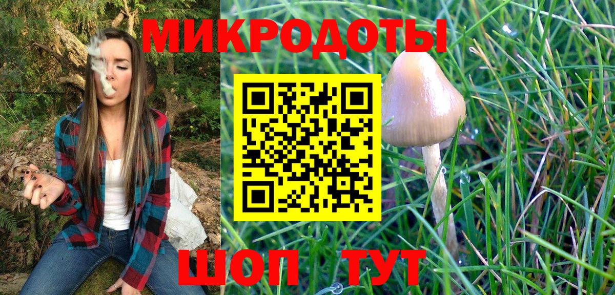 Галлюциногенные грибы MAGIC MUSHROOMS  Вход с VPN  Приморско-Ахтарск 